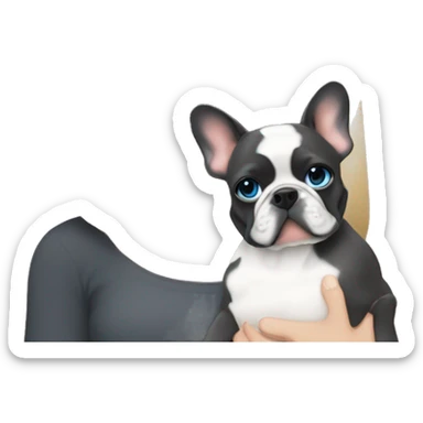 Blonde girl blue eyes holding a dark grey frenchie and a fawn pied frenchie sticker
