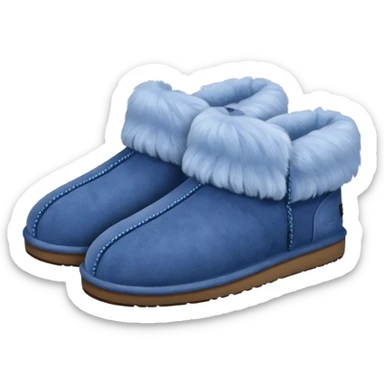UGG slippers blue sticker
