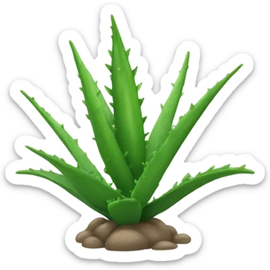 aloe vera sticker
