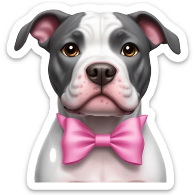black and white pitbull with a pink bow sticker