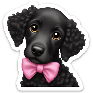 female black curly retriever puppy with pink bows above her ears sticker