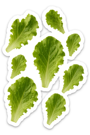 foglie di insalata fluttuano in aria, iperrealistico, non disegnato sticker