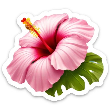 Hibiscus flower at the beach  sticker
