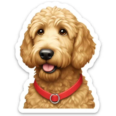 Golden doodle with white spit on forehead with red collar  sticker