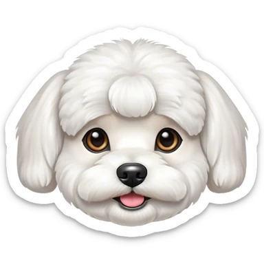 Perro bichon maltés  sticker