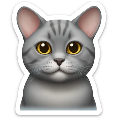 The British Chinchilla cat sticker