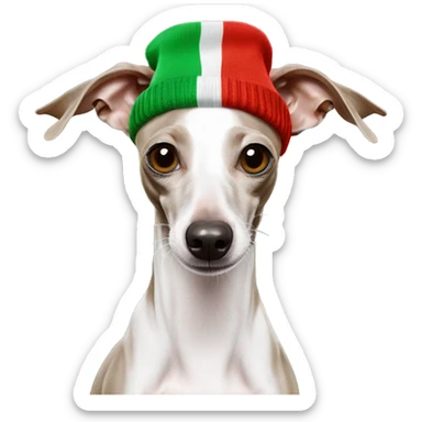 Italian Greyhound with a sock on his head sticker
