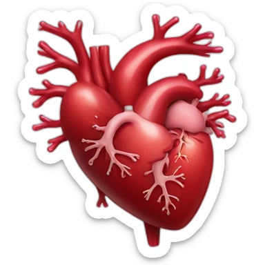 Heart organ sticker