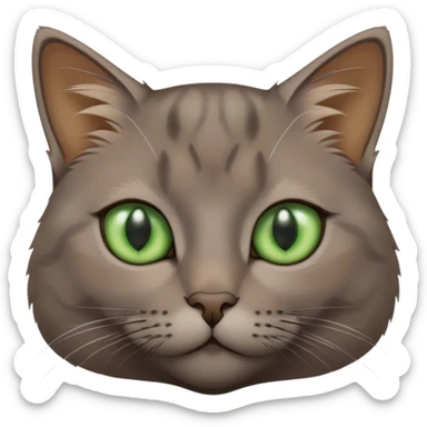 brownish gray cat with green eyes close together sticker