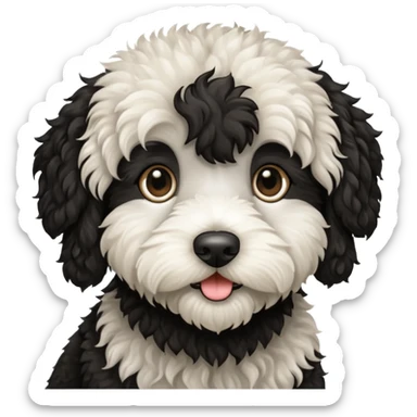 Black and white labradoodle sticker