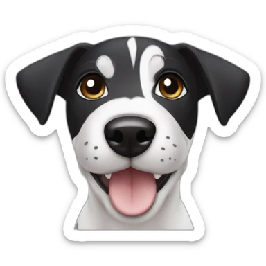 Black Jack Russel terrier puppy with white stripe running up middle of face head only sticker