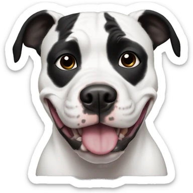 A black and white pitbull with black ears, black patches on his eyes and a black nose smiling sticker