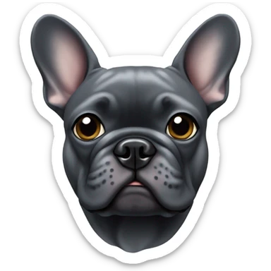 Dark grey French bulldog with one ear down sticker
