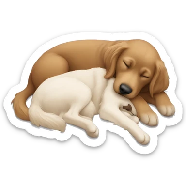 White girl brown hair sleeping with black golden retriever  sticker