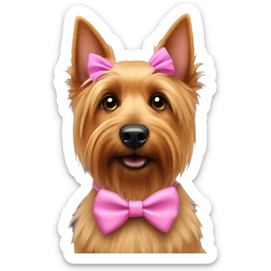 Australian terrier dog wearing a pink bow around neck sticker