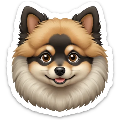 fluffy black and tan Pomeranian dog face, large round dark eyes, small black button nose, soft tan muzzle with subtle smile, two tan eyebrow spots, curious and alert expression, thick fluffy ruff of fur blending black, tan, and light gray, upright triangular ears with gray tips, friendly and cute sticker