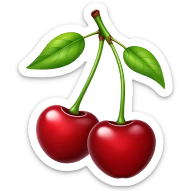 Pair of glossy red cherries with green stem, fruit sticker