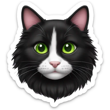 fluffy black tuxedo cat with green eyes and pink nose sticker