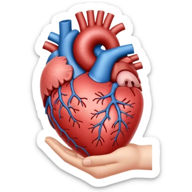 hand holding heart organ sticker