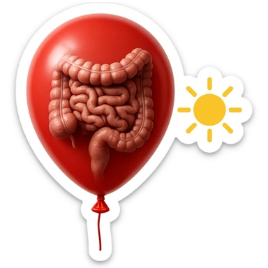 intestino umano anatomico chiuso in un palloncino rosso che simboleggia gonfiore, accanto un simbolo di sole che simboleggia "gonfiori di mattina", iperrealistico 4k sticker