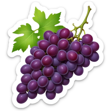 A high-res, transparent-background emoji

Of a realistic small bunch of deep purple grapes

With a green stem and a touch of leaf sticker