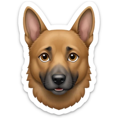 chien Malinois croisé, couleur grise, yeux gris et poils mi long sticker