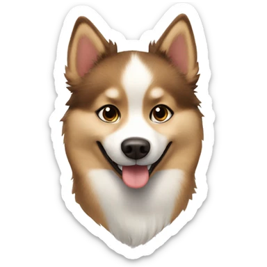 Brown and white Pomsky in the show happy sticker
