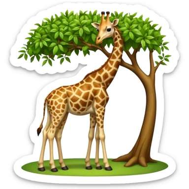 giraffe eating leaves from a tree sticker