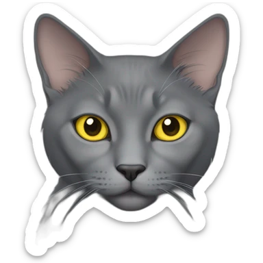fluffy grey korat breed cat with yellow eyes black pupils, sleeping female sticker
