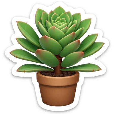 plant with small succulent like leaves sticker