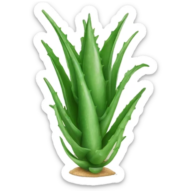 Aloe vera sticker