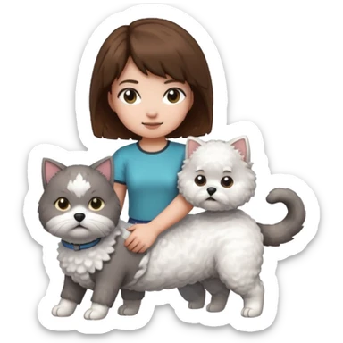 A grey cat standing on the back of a white bichon frisør dog, with a girl with short brown hair sitting beside playing Minecraft sticker