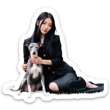 A beautiful 25-year-old Chinese woman with long black hair and a pure dark grey Italian Greyhound with absolutely NO white markings anywhere on its body sitting under a cherry blossom tree. The dog must be completely solid dark grey with no white on muzzle, paws, or chest. sticker