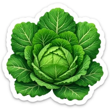 Savoy cabbage sticker