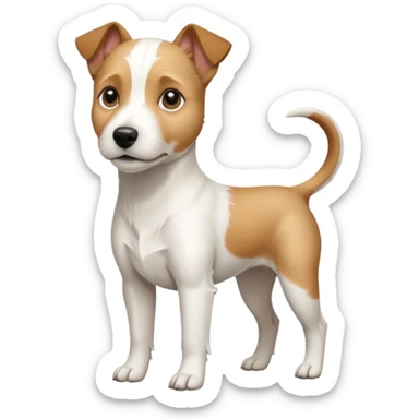 a full body slightly chubby white parson russell terrier looking dog the size of a kelpie with light brown long ears and a light brown patch on one eye and a large snout. the rest of the dog is completely white. forward facing sticker