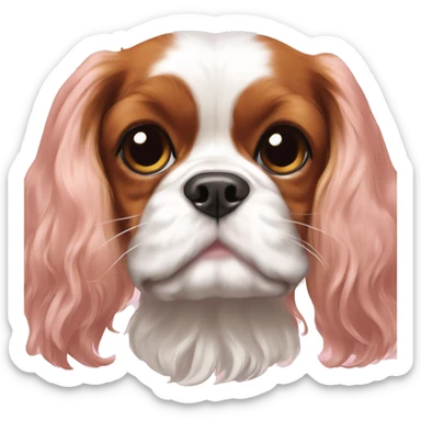 Light pink bow on Cavalier King Charles Spaniel  sticker