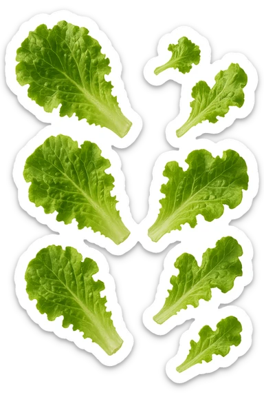foglie di insalata fluttuano in aria, iperrealistico, non disegnato sticker