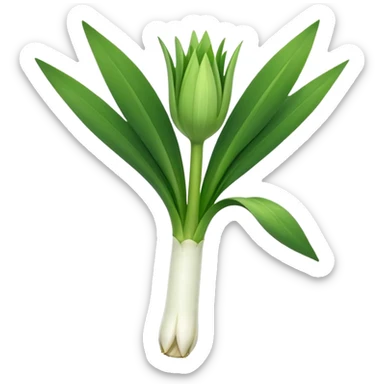 single leek, white stalk to green leaves, open, tidy, layered, fine roots, clean and moist, 3D clean style, transparent background, optimized for emoji size sticker