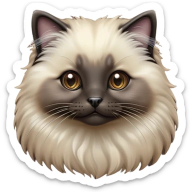 Cinematic Adorable Fluffy black Seal Ragdoll Cat Portrait Emoji, Head tilted cutely with big, sparkling eyes, soft brown fur with darker seal points on the ears, face, and paws, Simplified yet irresistibly adorable features, highly detailed, glowing with a soft, warm glow, high shine, affectionate and playful, stylized with a touch of whimsy, bright and endearing, soft glowing outline, capturing the essence of a curious and loving kitten, so cute it feels like it could leap out of the screen and snuggle up for a cuddle! sticker