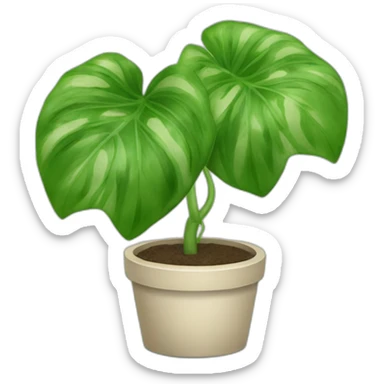 Pothos plant sticker