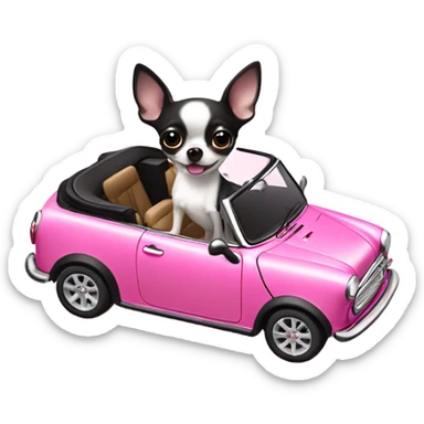 Black and white Chihuahua driving pink mini cooper convertible  sticker