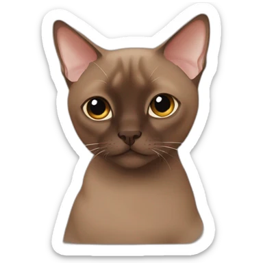 chocolate tonkinese cat sticker