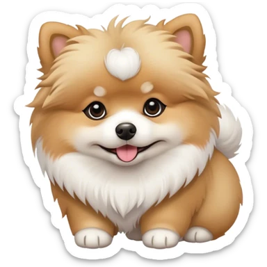 Pomeranian Bichon mix  sticker