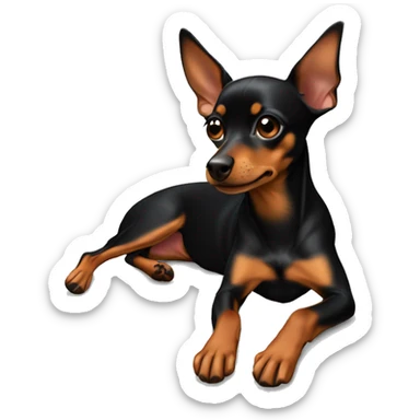 miniature pinscher, black brown color, laying down, arms horizontal paws hanging down a little sticker