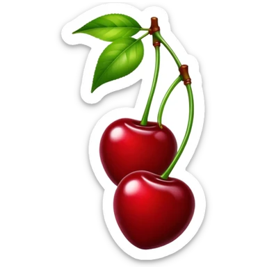 Pair of vibrant deep red cherries with green stem, fruit sticker