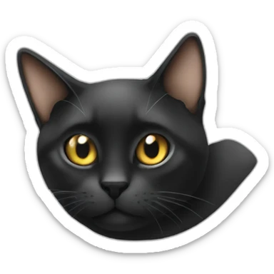 Chat a poil long et noir sticker