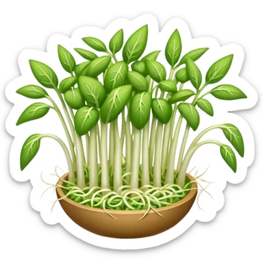 Bean sprouts laid sticker
