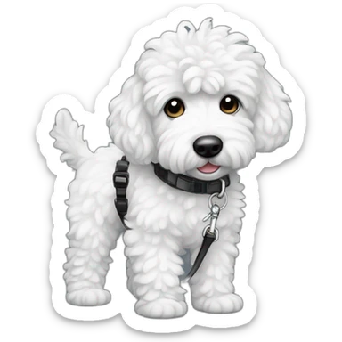medium sized black and white ausssiedoodle on a leash sticker