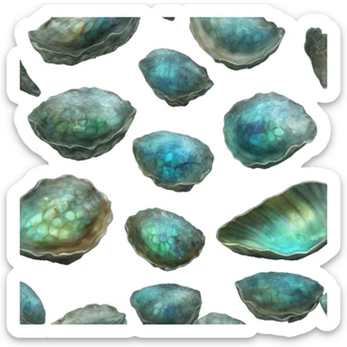 paua shell new zealand realistic sticker