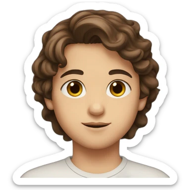is a tenn Syrian boy with brown small eyes and brown hair his cheeks are red and beautiful sticker